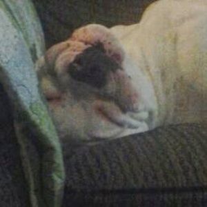 Meet your Posher, Jordan